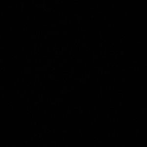 Meet your Posher, Adrianna